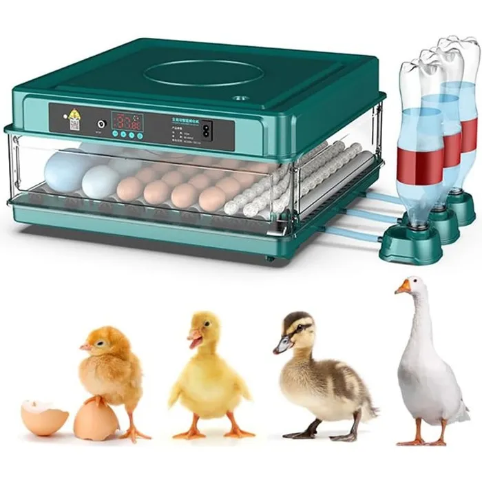 Incubateur